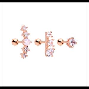 Cartilage Tragus set rosegold
